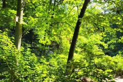 20220712_103400-scaled