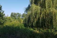 Natur (C) RR