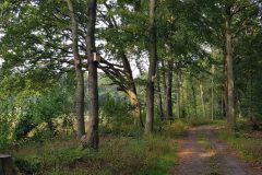 20210923_104502-scaled