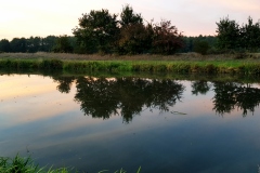 Fluss             (C) RR
